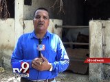 Welfare of horses in danger, operator of stables face eviction - Tv9 Gujarati