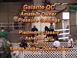 2004 Piedmont Classic Pleasure A/O Geldings Class