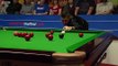 MAFLIN disappointed by SELBYS SHOTS in championship of SNOOKER