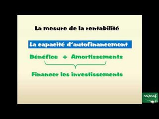 La rentabilité de l'entreprise