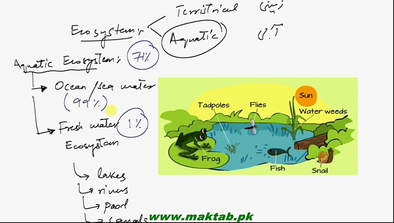 FSc Biology Book2, CH 26, LEC 1; Introduction to some major Ecosystem, Climate and Equatic Ecosystem