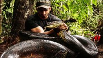 GIANT SNAKE IN THE WORLD - BIGGEST SNAKE FOUND ON EARTH