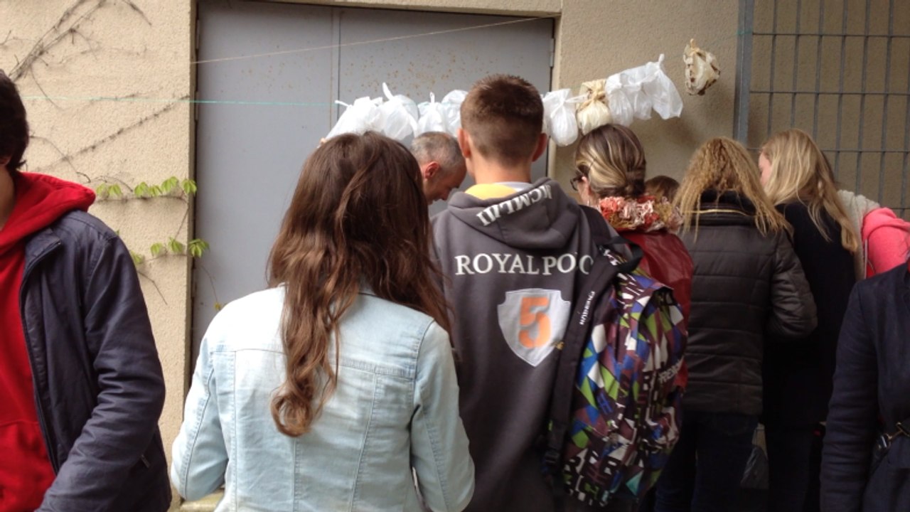 Vire pique nique festival ados