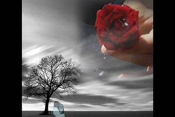 Neende Hi Urh Gayi Hai Jab Se Ye Dil Lagaya Kumar Sanu _