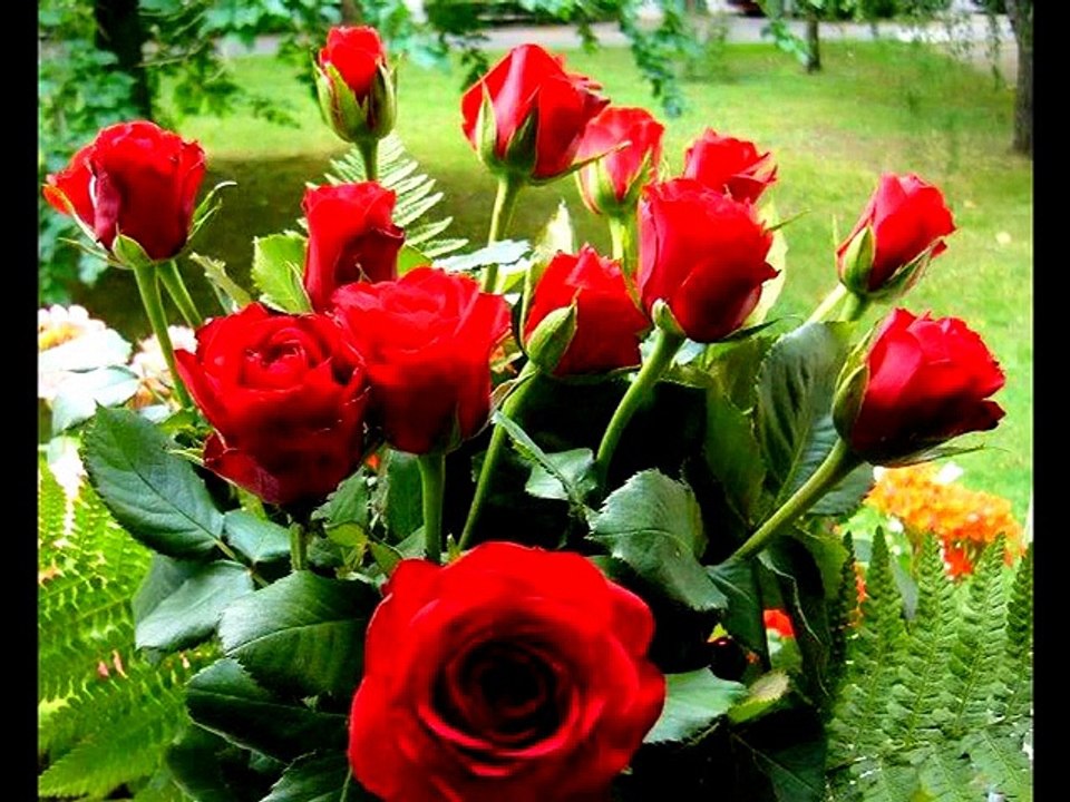 Pataki Attila - PIROS RÓZSÁK BESZÉLGETNEK