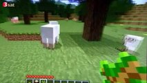 Minecraft - Über Nacht zum Millionär Doku (Neues 3sat)