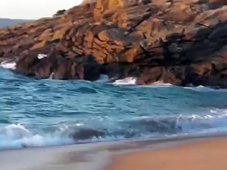 O SON DO MAR (AS ONDAS) - El Sonido del Mar