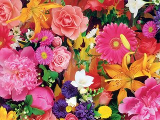 Romantic Spanish Guitar