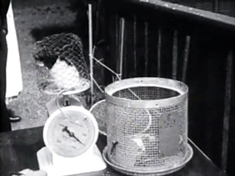 Bezoek aan het laboratorium aan het Instituut voor Volksvoeding - 10 juli 1924