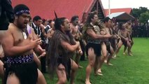 Maori Dancers Give Prince Harry Traditional Powhiri Welcome in Whanganui