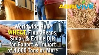 Buy USA Bulk Wholesale Wheat Distribution, Wheat Distribution, Wheat Distribution, Wheat Distribution, Wheat Distributio