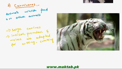 FSc Biology Book1, CH 12, LEC 4; Methods of Animal Nutrition