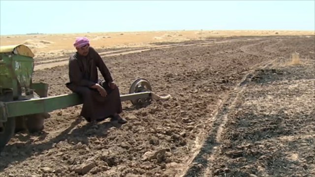 مجهولون يحرقون حقولا بمحافظة نينوى