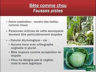Aux origines d'une expression - 012. Bête comme chou