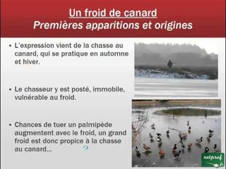 Aux origines d'une expression - 005. Un froid de canard