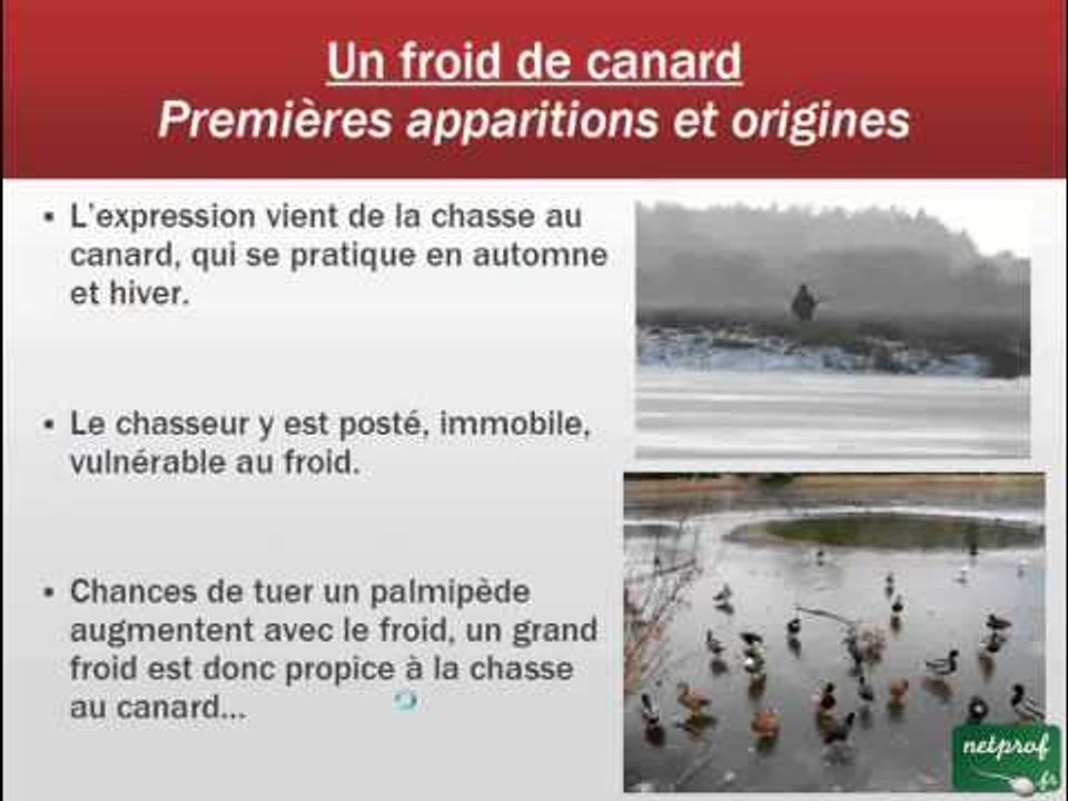 Aux origines d'une expression - 005. Un froid de canard