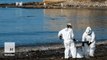 California oil spill fouls at least 9 miles of scenic beaches