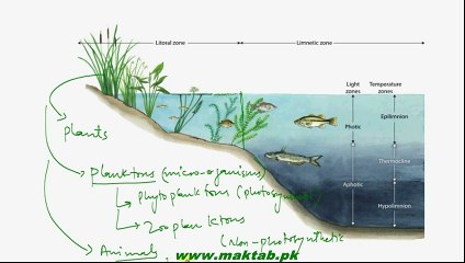 FSc Biology Book2, CH 26, LEC 2; Fresh Water lakes and Intervention of man in Aquatic Envrionment