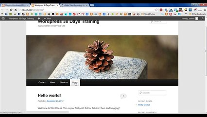 Wordpress in Urdu Chapter Three from Urdututs on Vimeo