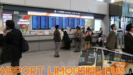 Dailymotion Video Player Tokyo Airport Air Traffic Service Tokyo Eapoto Tokyo Kuko Kansei Hoan Bu ｔｏｋｙｏエアポート 東京空港管制保安部 English Subtitles E8