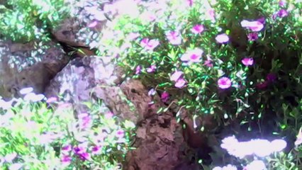 Acumulando horas de vuelo, y tortazo que te crio tambien