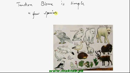 FSc Biology Book2, CH 26, LEC 6; Tundra Ecosystem, Human and Ecosystems