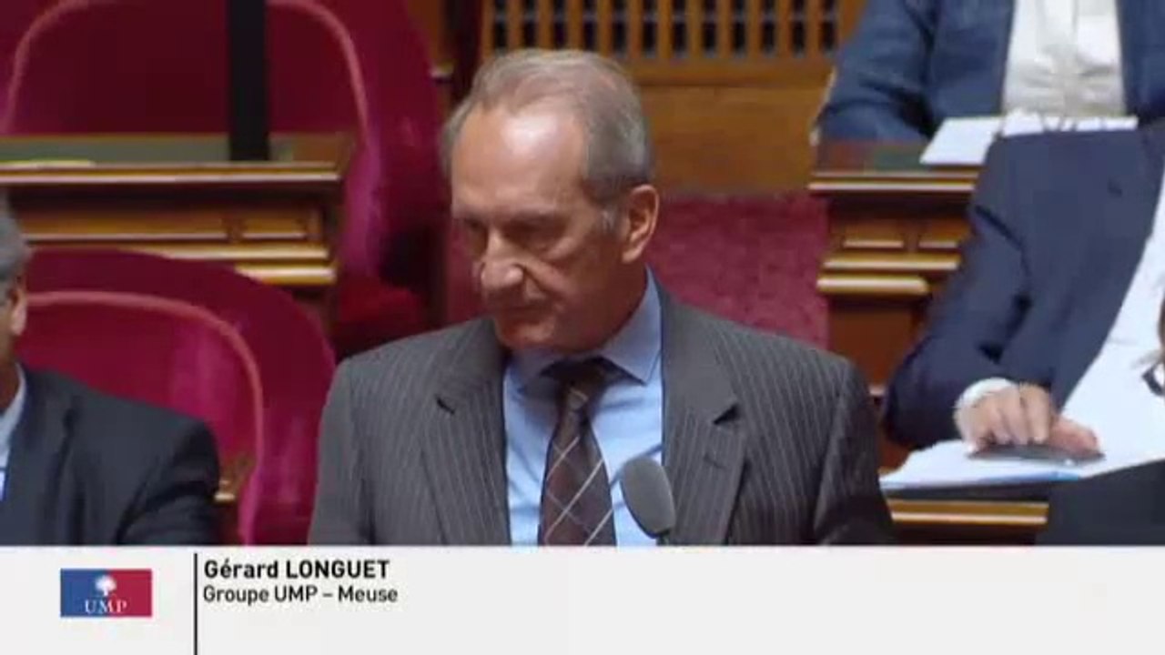 Réforme du collège : " Les enfants n’appartiennent  pas aux théoriciens du Conseil des programmes ! "