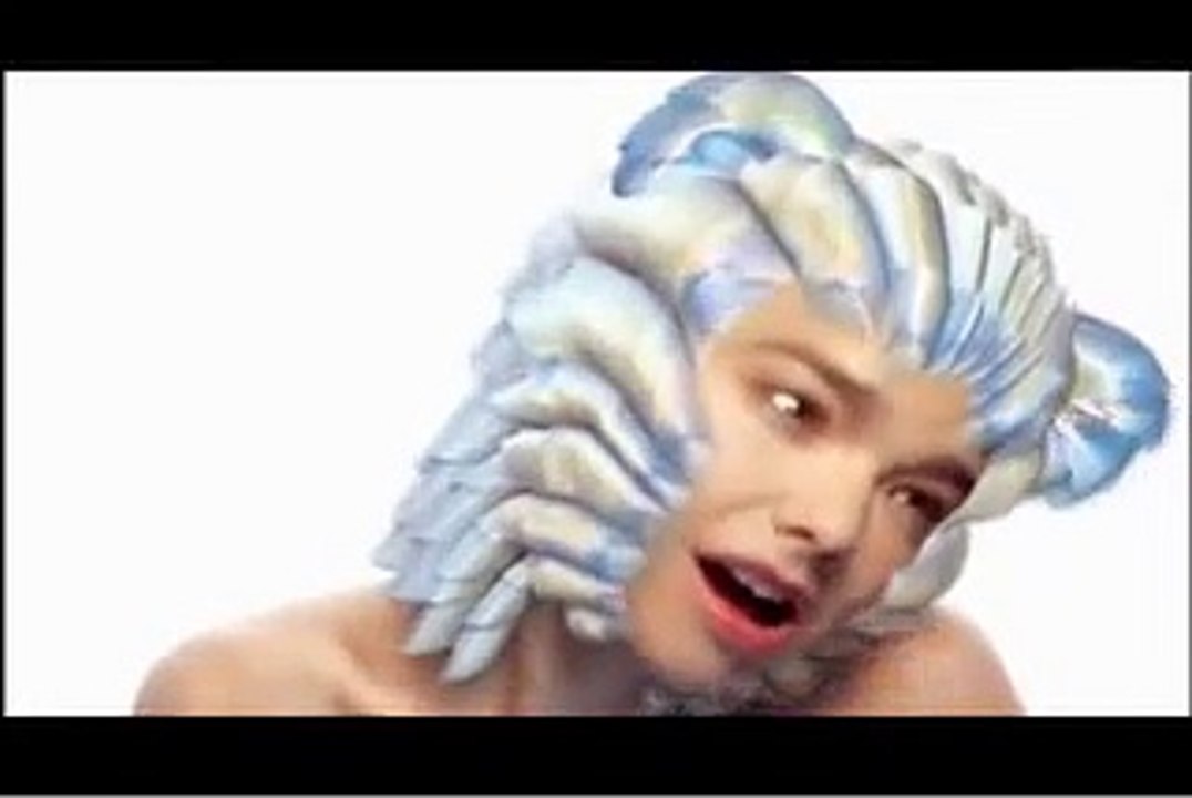 Bjork - Hunter