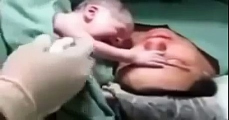 Nouveau né, il ne veut surtout pas quitter sa maman