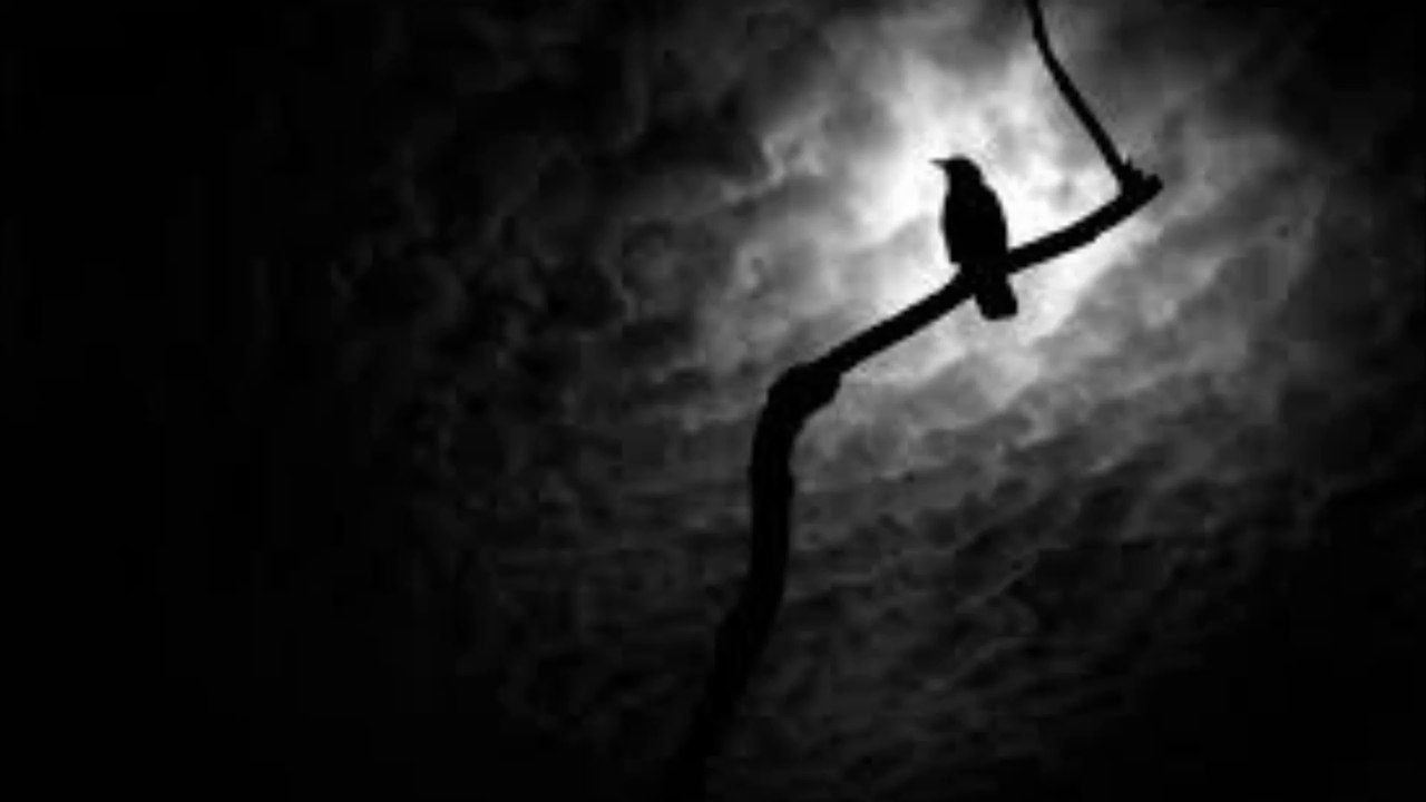 Hagalaz' Runedance - Raven Night