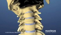 Cervical Spine and Intervertebral Disc Anatomy - Female Version .wmv