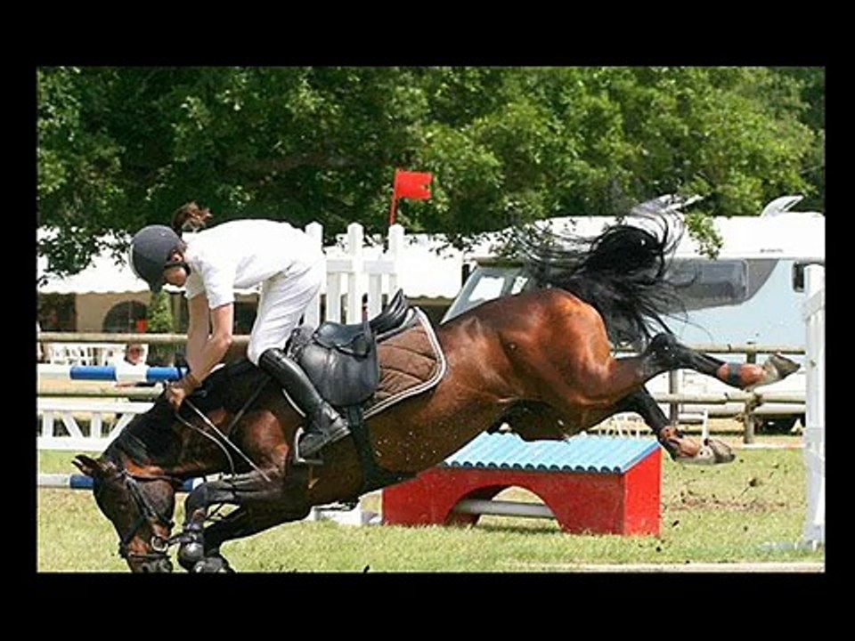 Chutes en équitation