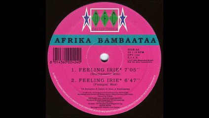 Afrika Bambaataa - Feeling Irie (Pumpin' Mix) (AA2)