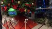 Russian Christmas Tree at Moscow Airport Domodedovo