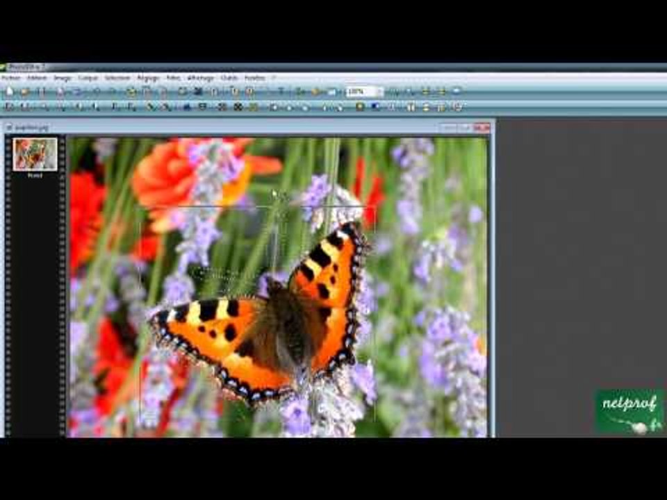 Détourer et incruster une image dans Photofiltre