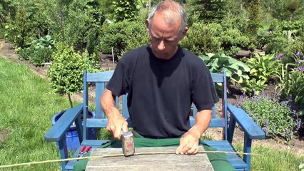 Weidenwasser herstellen und nützliche Informationen für Bonsai und Stecklinge