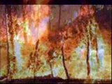 Rapinas em Estremoz - Prevenção dos incêndios