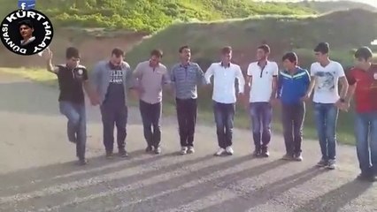 BİNGÖLLÜ GENÇLER FİRSATI YOLDA BULDULAR DELİLOYA BAŞLADILAR