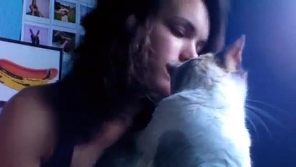Stuff about cats and stuff