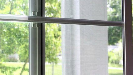 Know Your Rental Rights 1: Checking Out The Place