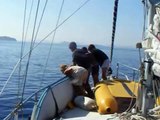 Armin, Alija, Alma und Elias entdecken Delfine vor Murter, Kroatien