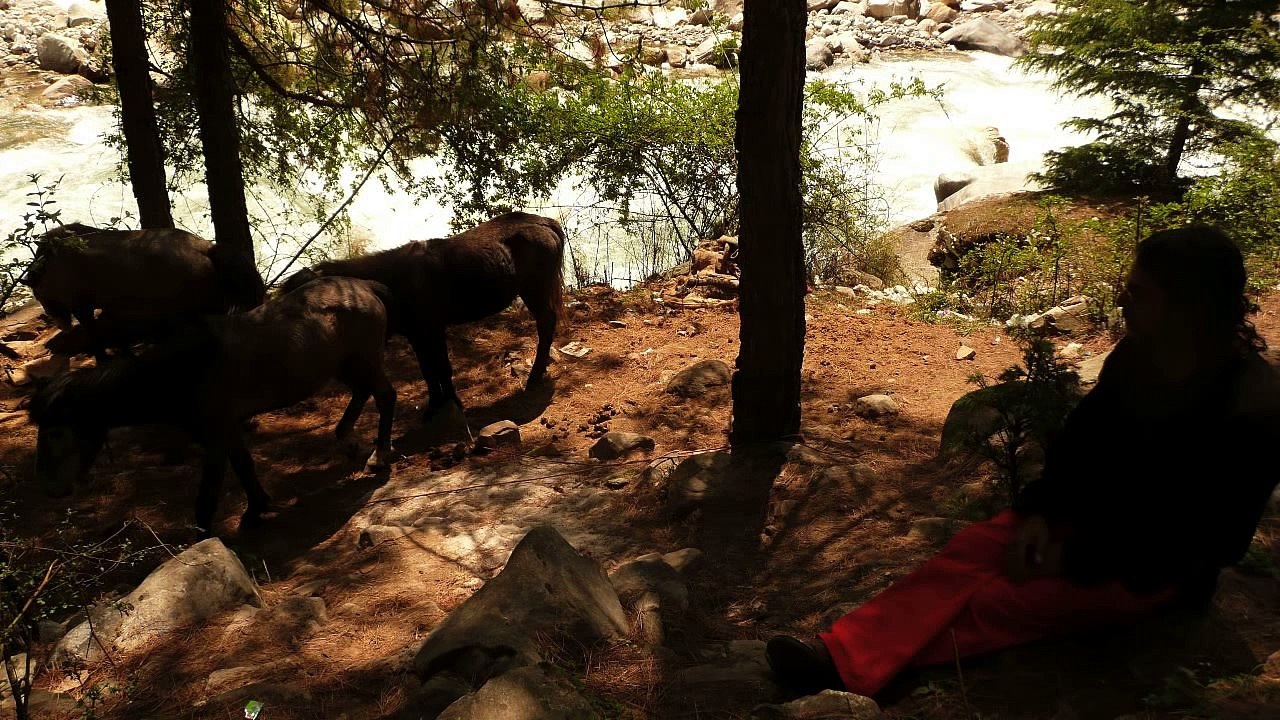 PARVATI VALLEY
