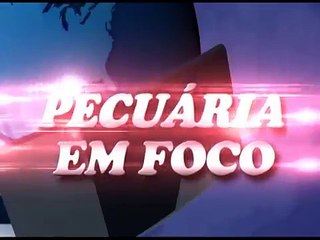 PECUÁRIA EM FOCO - FAZENDA NOSSA TERRA - RUBIKINHO CARVALHO