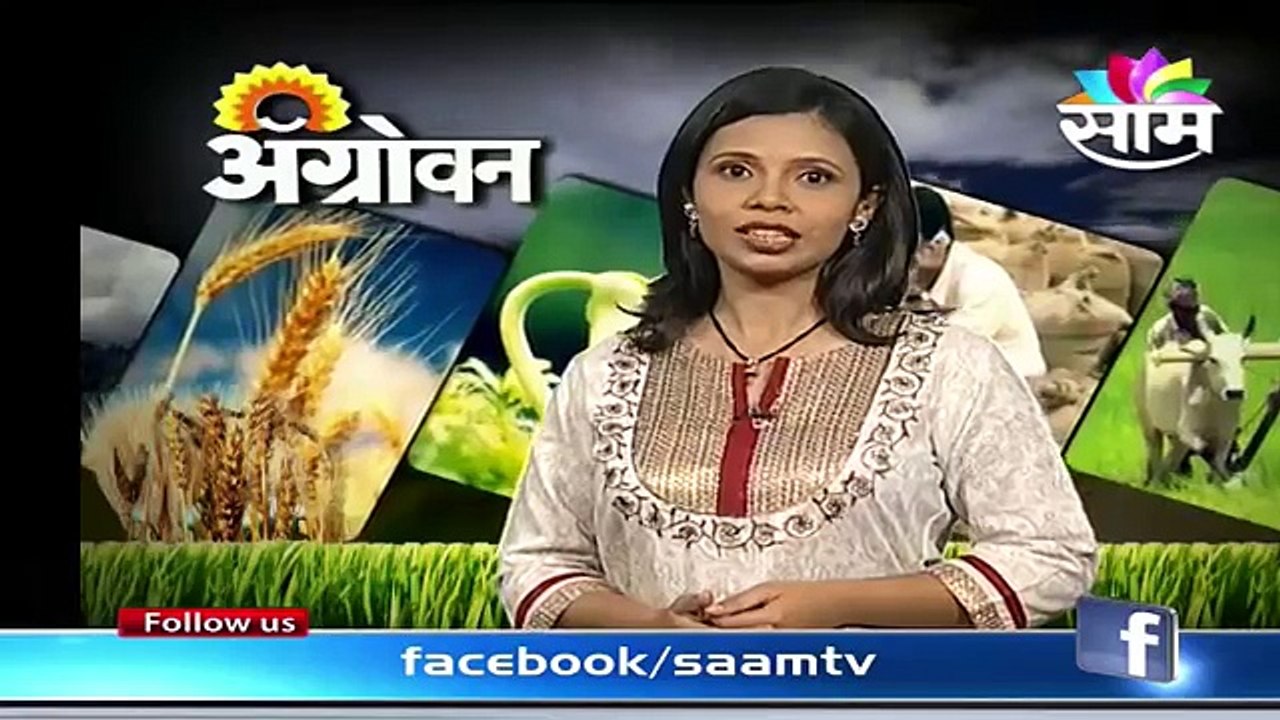 Ashok Kalyani's dairy farming and milk business success story