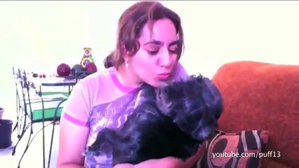 cat & Dogs who hate kiss