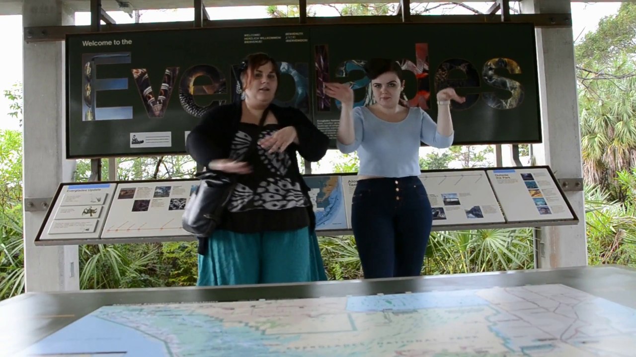 Louisiana-Bahamas-Florida 2014, jour 12: Everglades