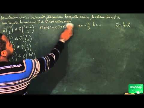 443 / Vecteurs / Déterminer si deux vecteurs sont colinéaires (2)