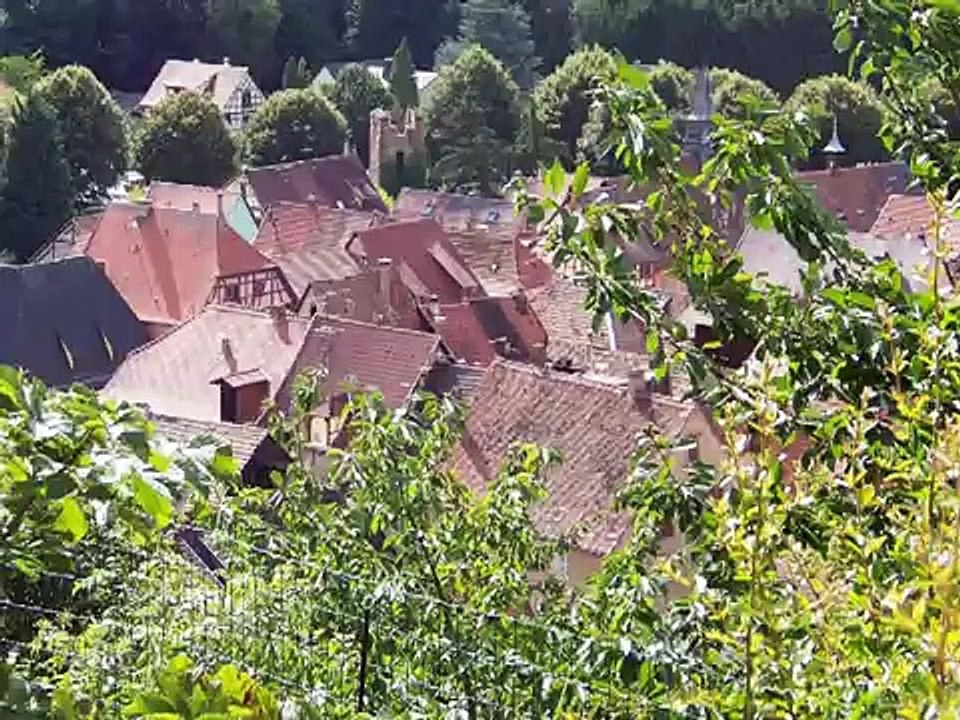 Ballades dans le vigoble alsacien :  Ammerschwihr, Kaysersberg & Kientzheim