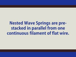 Bellevillle Springs vs. Nested Wave Springs