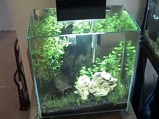 Problems And A Change